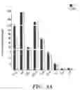 Fig. 08 - NOVEL COMPOSITIONS AND USES OF METFORMIN AGENTS