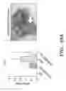Fig. 124 - NOVEL COMPOSITIONS AND USES OF METFORMIN AGENTS