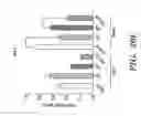 Fig. 45 - NOVEL COMPOSITIONS AND USES OF METFORMIN AGENTS
