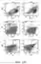 Fig. 47 - NOVEL COMPOSITIONS AND USES OF METFORMIN AGENTS