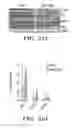 Fig. 50 - NOVEL COMPOSITIONS AND USES OF METFORMIN AGENTS