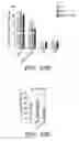 Fig. 53 - NOVEL COMPOSITIONS AND USES OF METFORMIN AGENTS