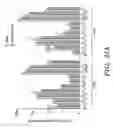 Fig. 71 - NOVEL COMPOSITIONS AND USES OF METFORMIN AGENTS