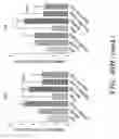 Fig. 95 - NOVEL COMPOSITIONS AND USES OF METFORMIN AGENTS