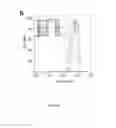 Fig. 25 - Compositions and methods for treatment of prostate cancer