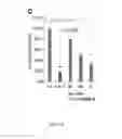 Fig. 26 - Compositions and methods for treatment of prostate cancer