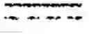 Fig. 02 - Tricyclic analogues, preparation method and uses thereof
