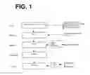 Fig. 02 - IMMEDIATE RELEASE PHARMACEUTICAL COMPOSITIONS COMPRISING OXYCODONE AND NALOXONE