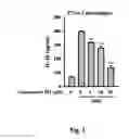 Fig. 02 - Use of Ginsenoside M1 for preventing or treating gout