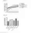 Fig. 08 - Compositions and methods for activating “stimulator of interferon gene”—dependent signalling