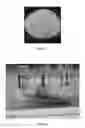 Fig. 04 - MAGNESIUM-CONTAINING PRODUCTS AND USES THEREOF
