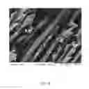 Fig. 09 - FORMULATION FOR PREVENTING OR TREATING DENTIN-ASSOCIATED SYMPTOMS OR DISEASES, AND METHOD USING THE SAME