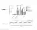 Fig. 07 - LISTERIA-BASED IMMUNOGENIC COMPOSITIONS FOR ELICITING ANTI-TUMOR RESPONSES