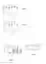Fig. 08 - LISTERIA-BASED IMMUNOGENIC COMPOSITIONS FOR ELICITING ANTI-TUMOR RESPONSES