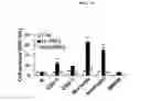 Fig. 09 - Composition for treatment or prevention of infectious inflammatory diseases, or composition for immune enhancement, comprising tryptophanyl-tRNA synthetase as an active ingredient