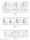 Fig. 02 - IMMUNIZING PEPTIDE, METHOD FOR PRODUCING IMMUNIZING PEPTIDE, PHARMACEUTICAL COMPOSITION FOR IMMUNE DISEASE CONTAINING SAME, AND METHOD FOR TREATING IMMUNE DISEASE