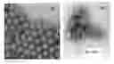 Fig. 01 - Immunogenic Human Rhinovirus (HRV) Composition