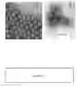 Fig. 07 - Immunogenic Human Rhinovirus (HRV) Composition