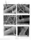 Fig. 03 - Hierarchically Structured and Multifunctional Nanofibrous Composite Structure for Soft-Tissue Engineering Applications
