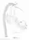 Fig. 04 - Delivery of respiratory therapy