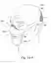 Fig. 46 - Delivery of respiratory therapy