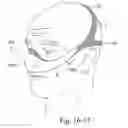 Fig. 55 - Delivery of respiratory therapy