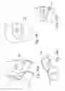 Fig. 85 - Delivery of respiratory therapy