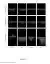 Fig. 06 - METHOD OF CORRELATING BRAIN ACTIVITY