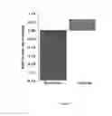 Fig. 08 - METHOD OF CORRELATING BRAIN ACTIVITY