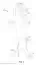 Fig. 02 - Method and Apparatus for Intra-Aortic Substance Delivery to a Branch Vessel