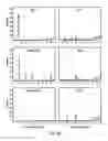 Fig. 22 - Non-regular electrical stimulation patterns for improved efficiency in treating Parkinson's disease