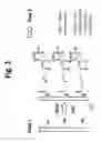 Fig. 02 - Superparamagnetic particle scaffold for regenerating damaged neural tissue