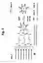 Fig. 04 - Superparamagnetic particle scaffold for regenerating damaged neural tissue