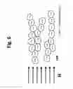 Fig. 07 - Superparamagnetic particle scaffold for regenerating damaged neural tissue