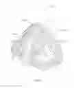 Fig. 09 - Central base coils for deep transcranial magnetic stimulation