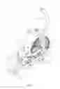 Fig. 02 - Exercise bike with an adjustable internal gear device