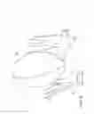 Fig. 07 - GLOVE
