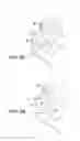 Fig. 06 - Doll carrier