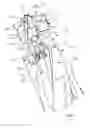 Fig. 01 - Tool shank with head support surface having central recess provided with resiliently displaceable abutment portions