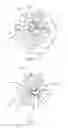Fig. 04 - Tool shank with head support surface having central recess provided with resiliently displaceable abutment portions
