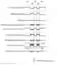 Fig. 01 - Security device and method of manufacture
