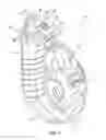 Fig. 02 - Chalk line device