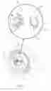 Fig. 08 - Automobile wheel cover