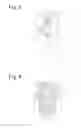 Fig. 06 - Pneumatic tire