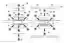 Fig. 01 - Pre-buck apparatus for vehicle body assembling system