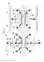 Fig. 02 - Pre-buck apparatus for vehicle body assembling system
