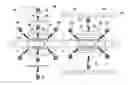Fig. 01 - MAIN BUCK UNIT FOR VEHICLE BODY ASSEMBLING SYSTEM AND CONTROL METHOD OF THE SAME