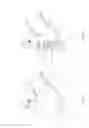 Fig. 09 - Rear derailleur