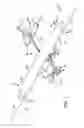Fig. 02 - Quiet slat propeller