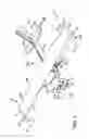 Fig. 06 - Quiet slat propeller